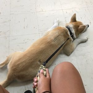 Meet your Posher, Karla